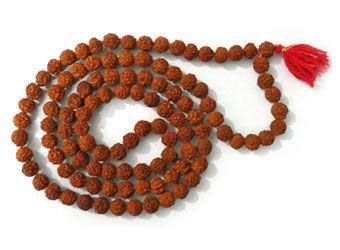 Japamala de Rudraksha