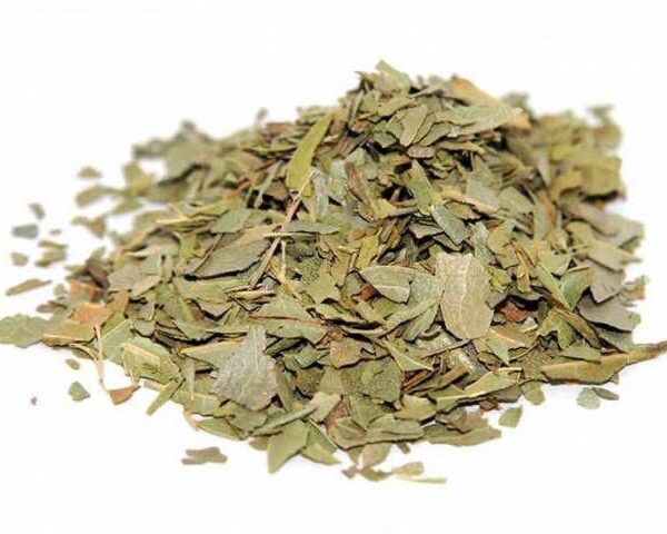 Erva Boldo 50g